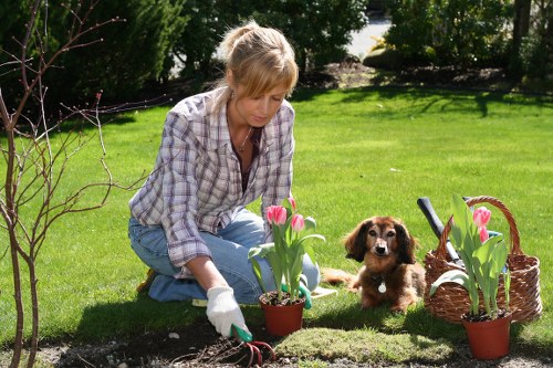 Inspection of garden work showing hedge and lawn details
