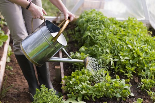 Close-up of a gardener's hands planting a seedling in soil