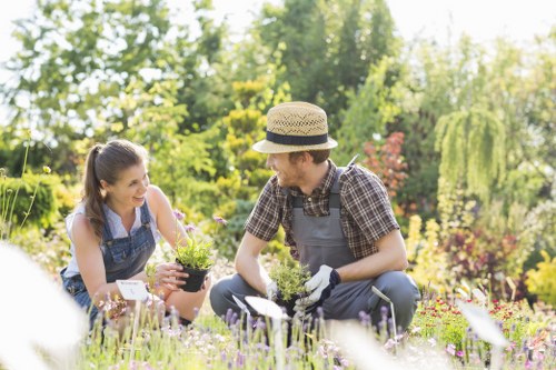 Community gardening in Shadwell area